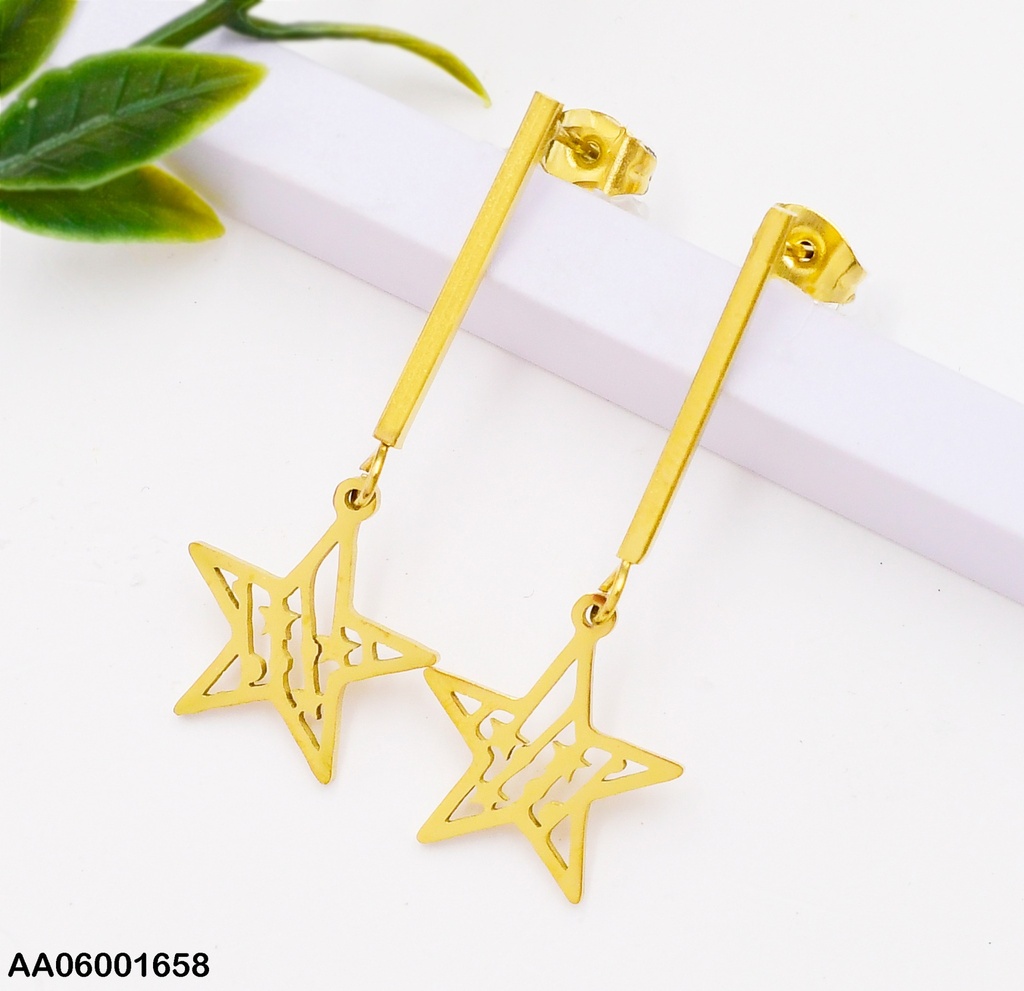 ARETES LARGOS COLGANTE ESTRELLA 0740251-W47