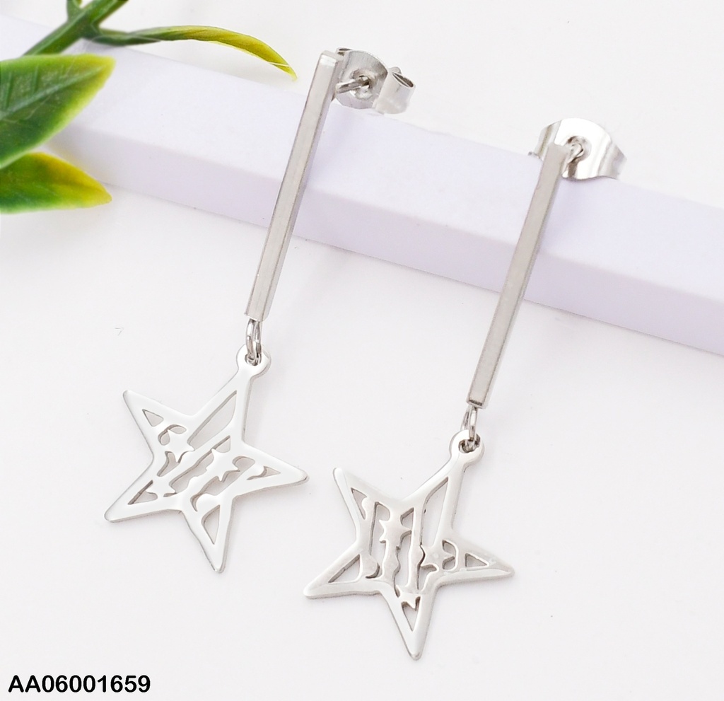 ARETES PLATEADO COLGANTE ESTRELLA 0740252-W47