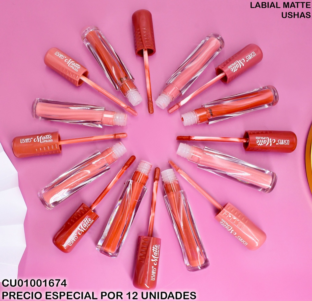 LABIAL MATTE USHAS LG2519B SURTIDOS