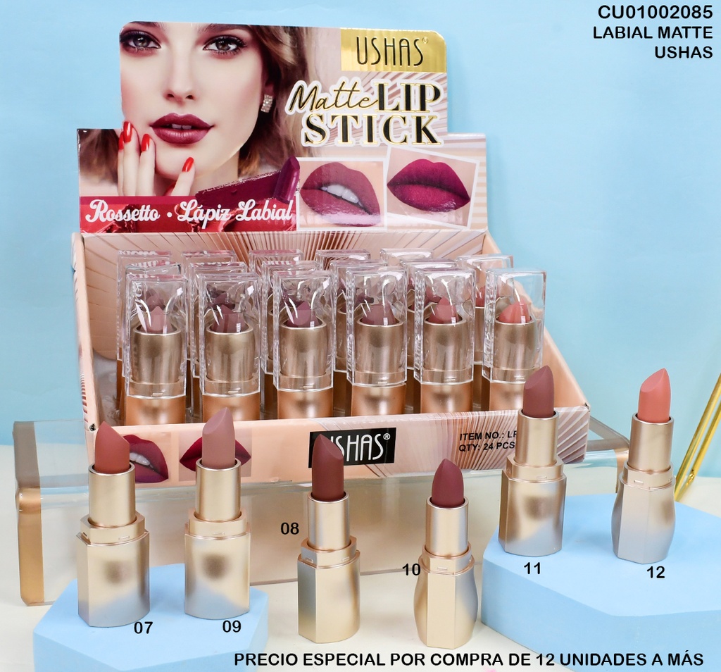 LABIAL MATTE LIP STICK  SURTD. USHAS LP2286 -B