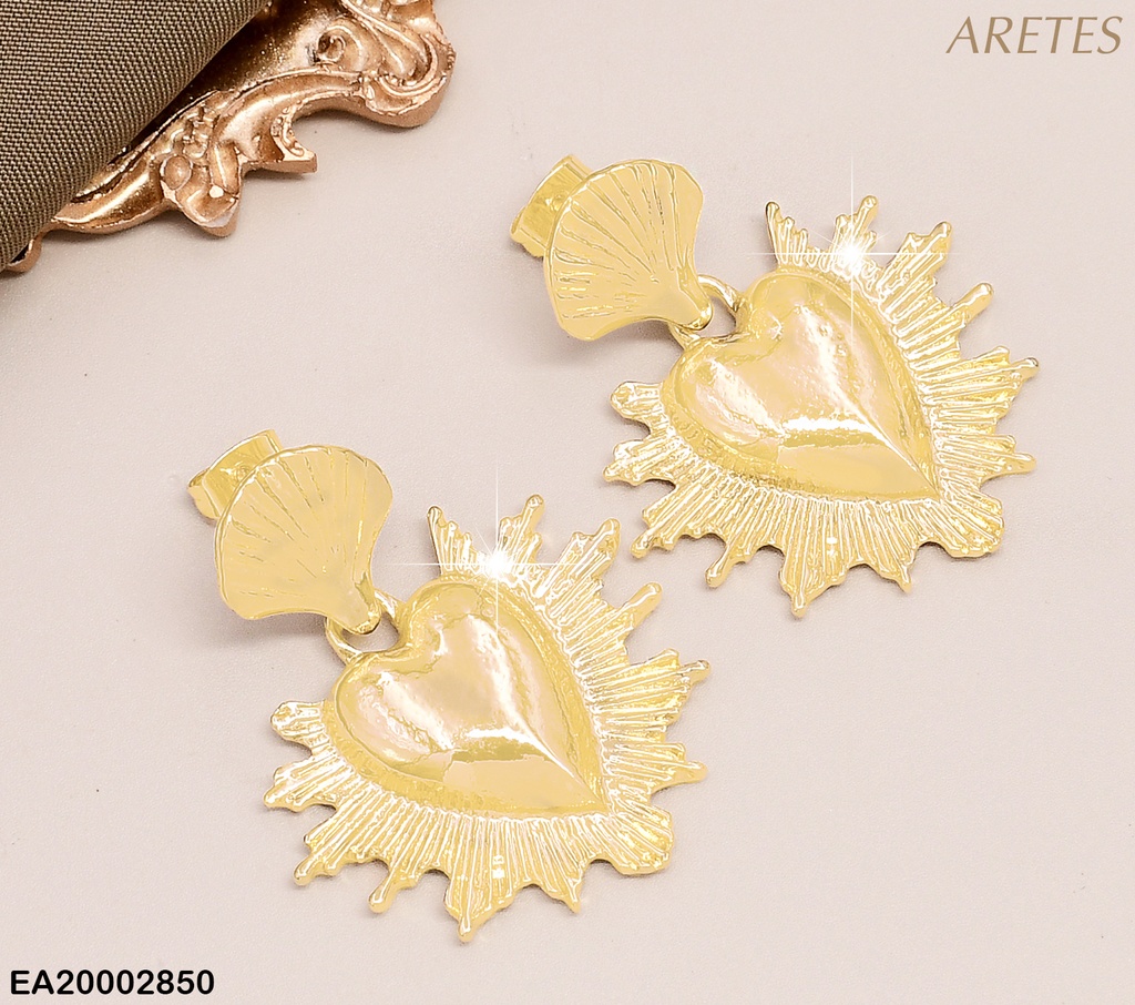 ARETES OSTRA C/CORAZON C/BORDES LINEAS EE843-9 (NPE2025)