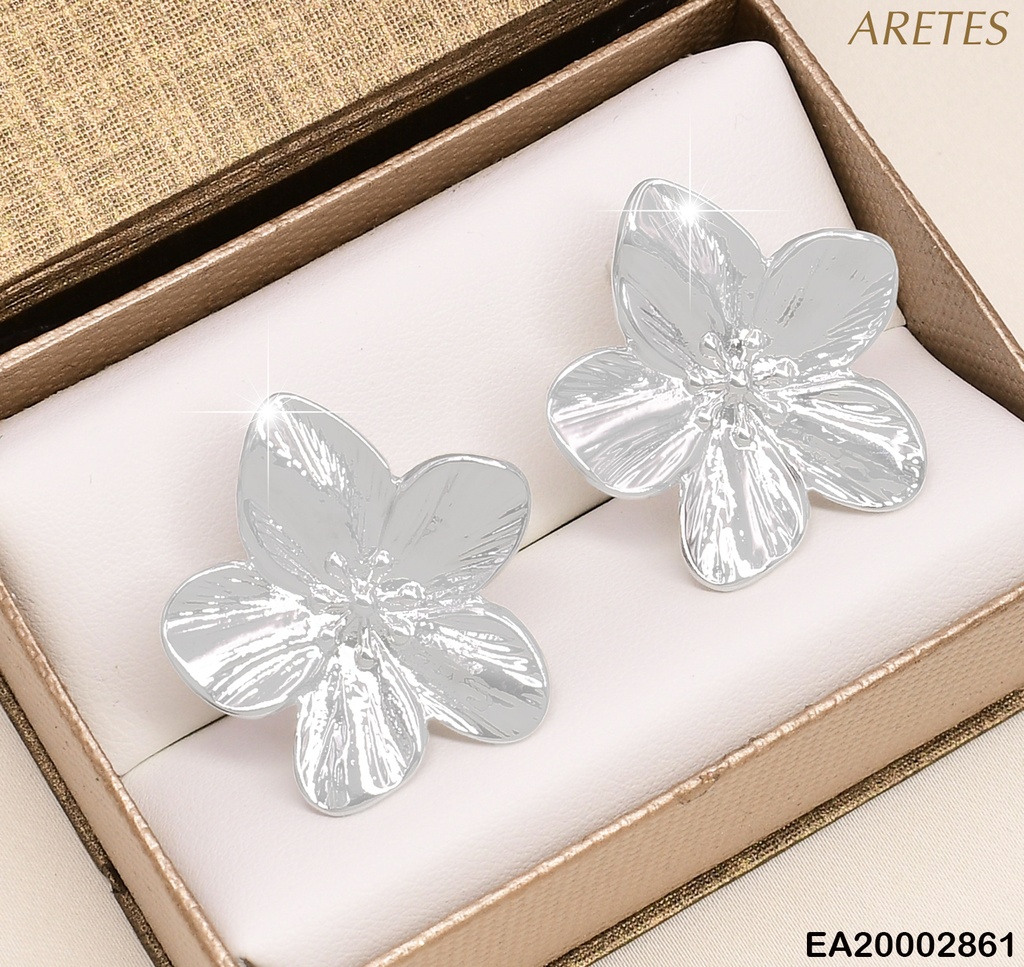 ARETES PLAT. FLOR GR. 5 PETALOS EE854-9