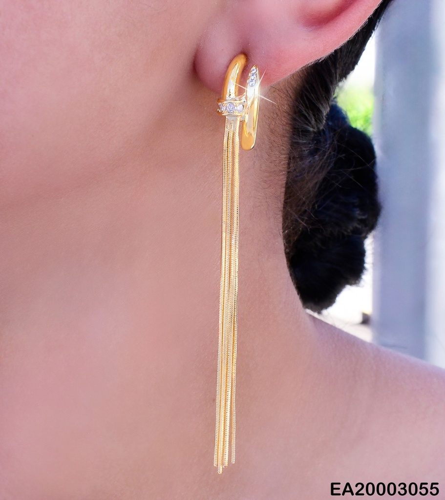ARETES LARGOS "C" ZIRC CENTRO / COLGANTES  EE1224-132