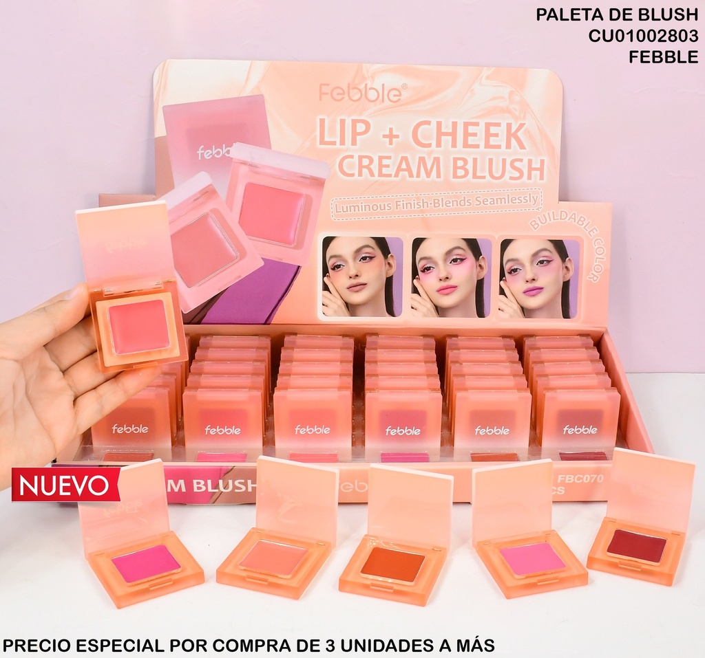 BLUSH/LABIAL FEBBLE FBC070 COL. SURTIDOS