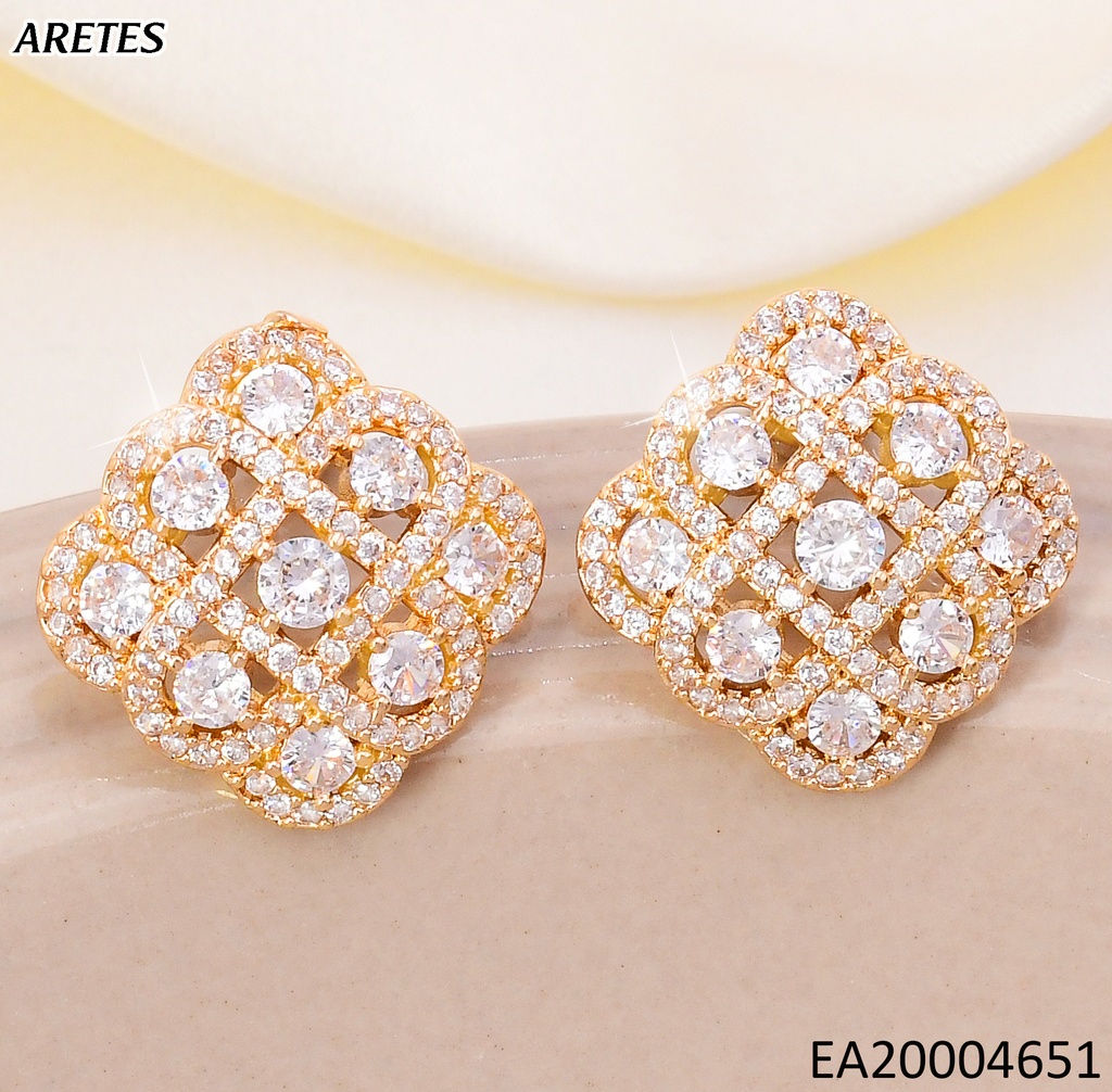 ARETES DOR CUADRO / (9) ZIRC. RD CENTRO EE4690-6