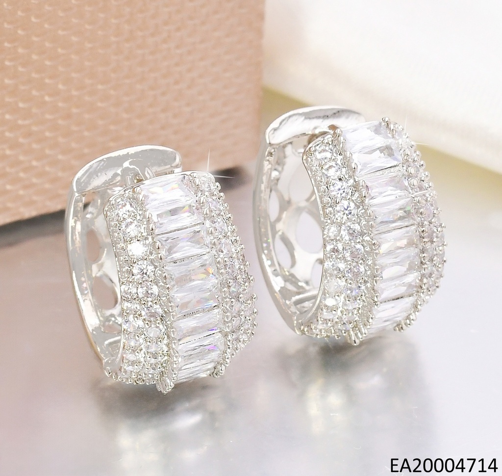 ARETES TRENDY PLAT"C" ZIRC.RD/ZIRC.RECTANG/ZIRC.RD EE4707-6