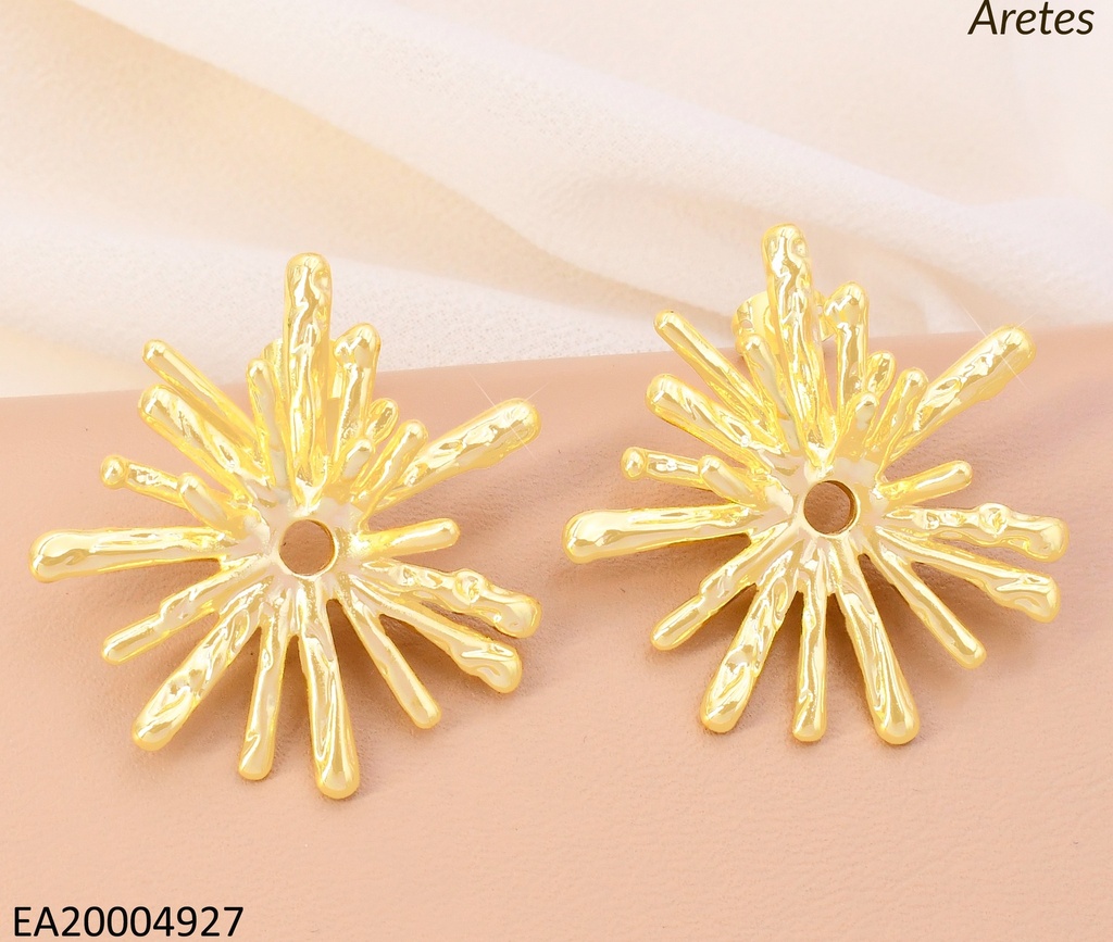 ARETES CORAL CENTRO HUECO EE5043-268