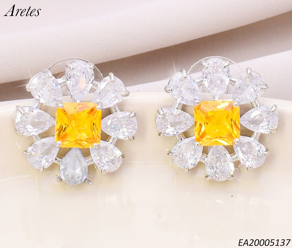 ARETES PLAT.FLOR ZIRCONIAS CENTRO🟨 EE4533-6