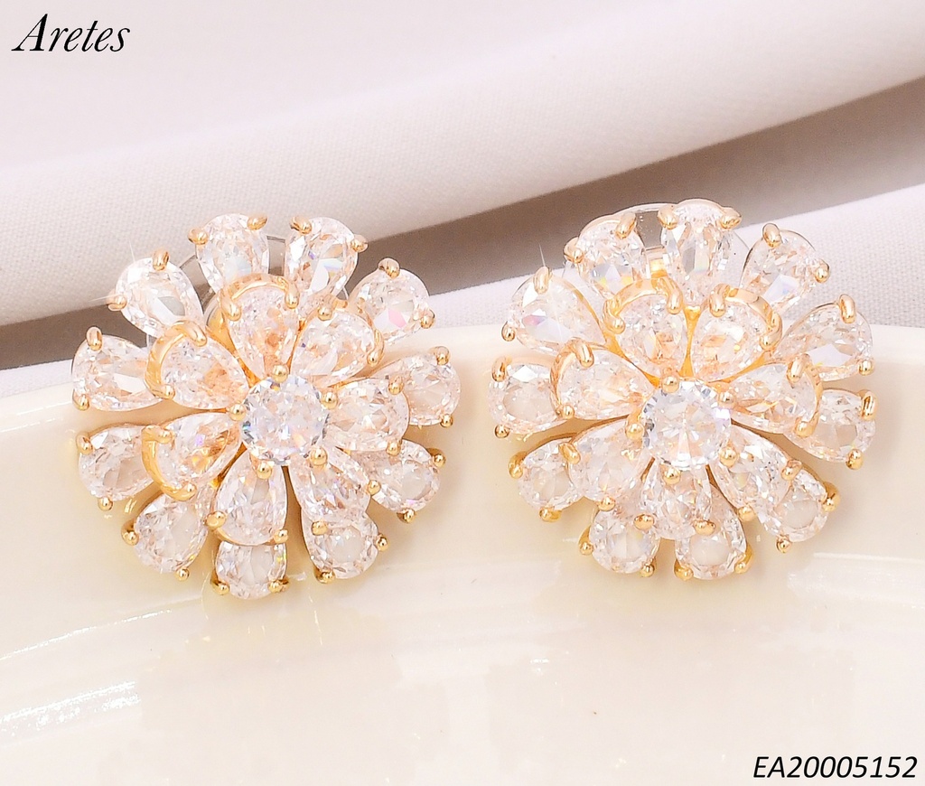 ARETES RD.FLOR PETALOS ZIRC. EE4548-6/EE5818-6 (INV626)