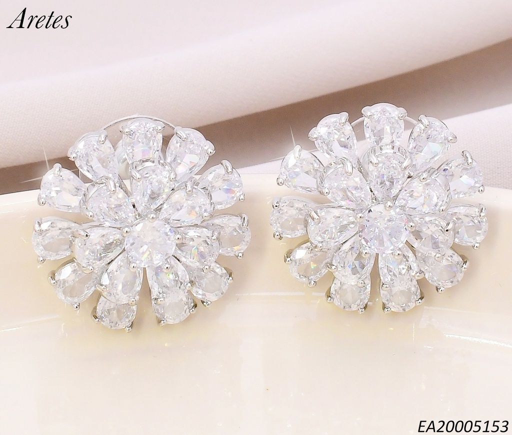 ARETES PLAT. FLOR RD.ZIRCONIAS EE4549-6