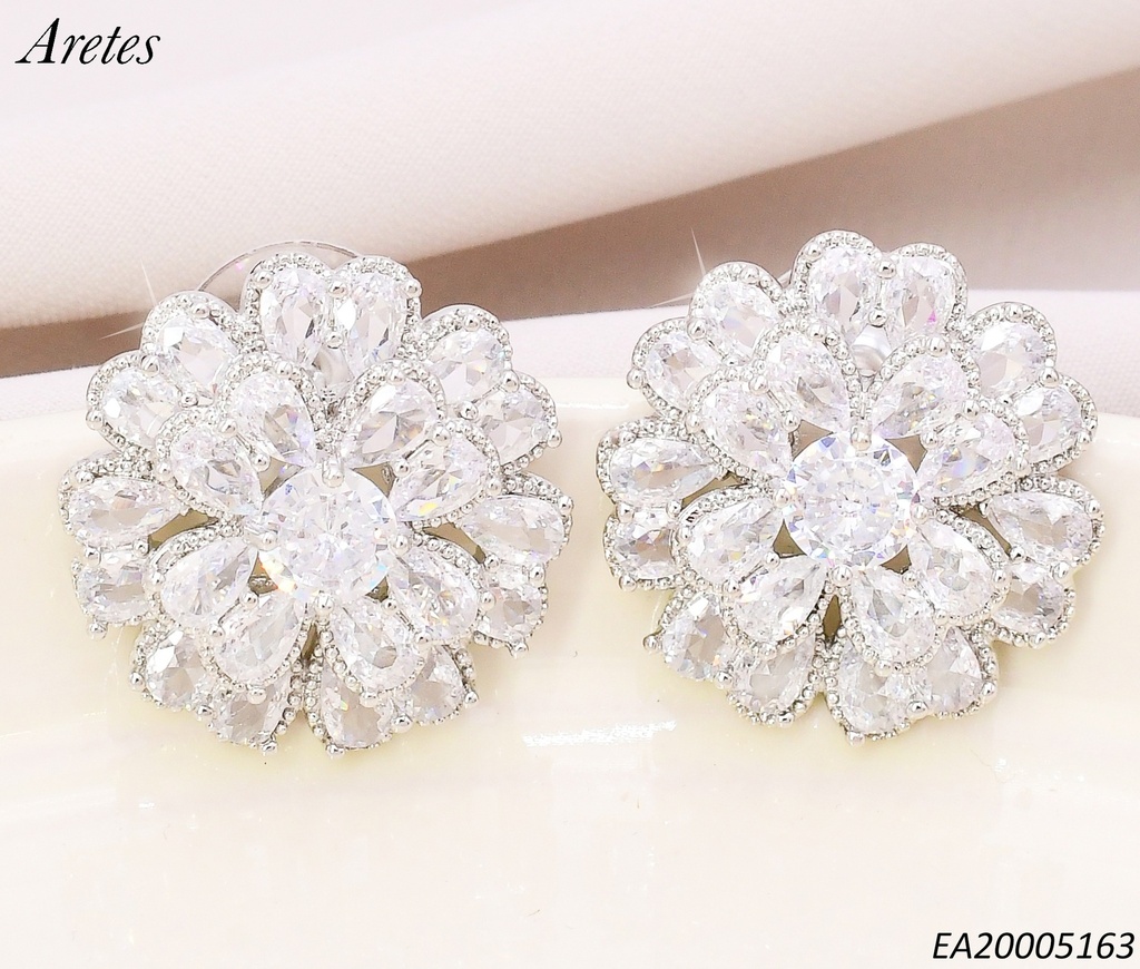 ARETES FLOR RD.ZIRCONIAS C/BORDE PLAT. EE4559-6