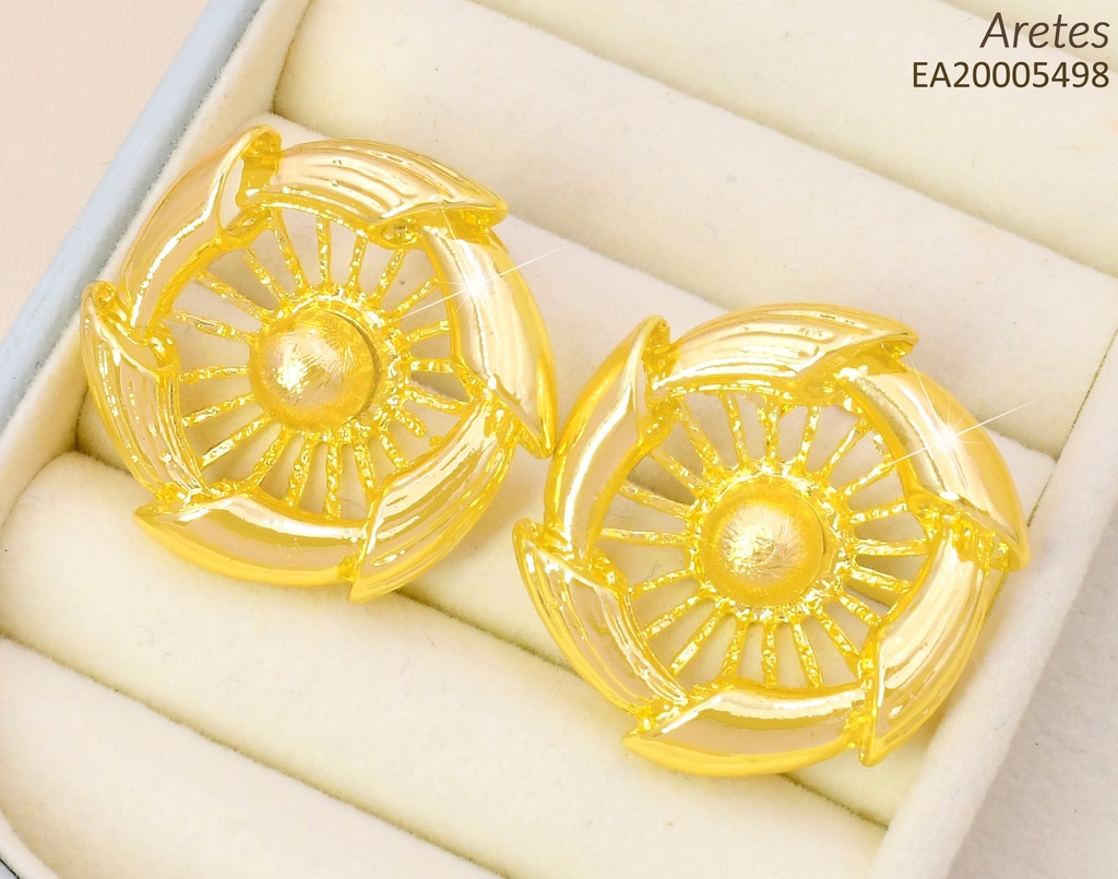 ARETES DOR CIRCULO DETALLADO EE4304-301