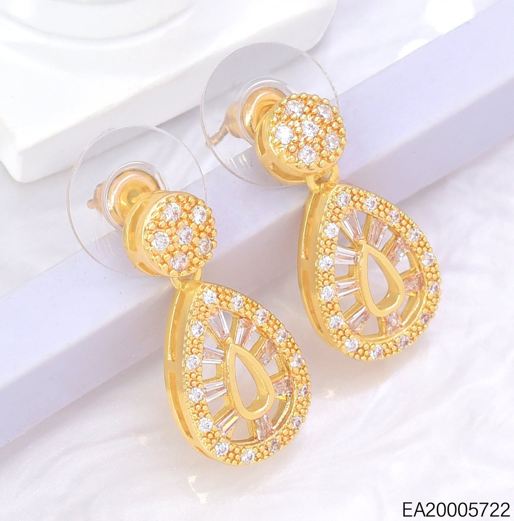 ARETES CIRC/GOTA ZIRC. DOR/PLAT. EE4923-6 012026