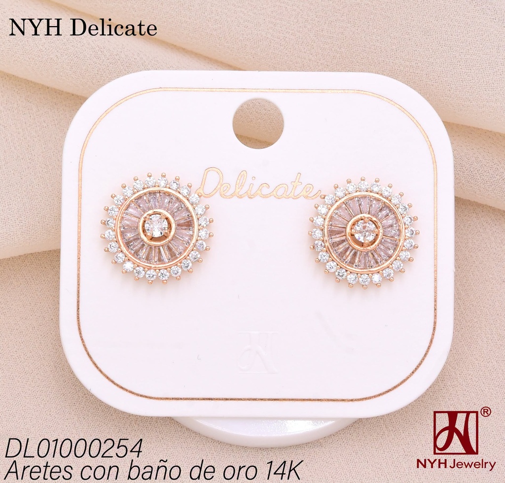 ARETES BAÑO DE ORO 14K. RD. ZIRC. RECT. (DEL212026)