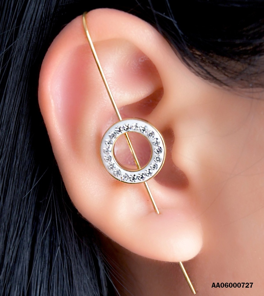 ARETE CAMALEÓN RECTO CÍRCULO C/ZIRCONIAS