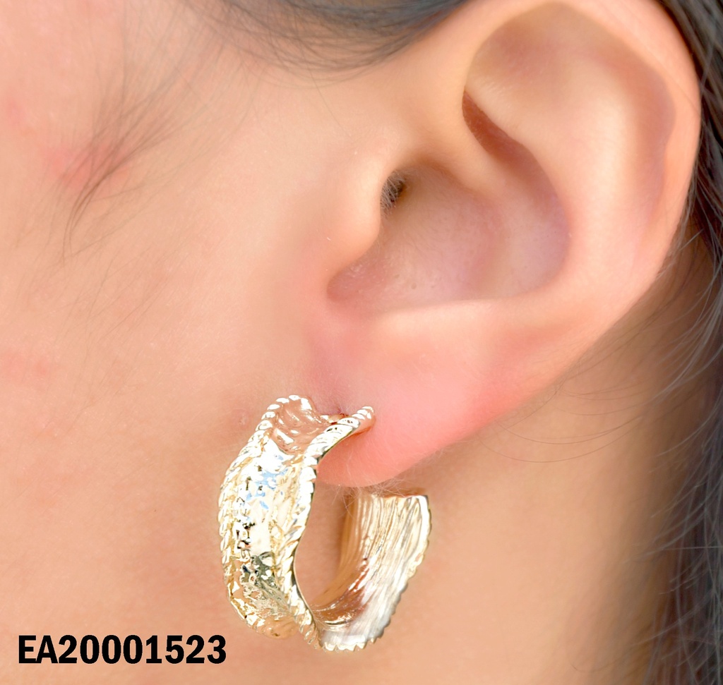 ARETES ARGOLLAS ANCHAS GRAB.MEDIO BORDE RAYADOS