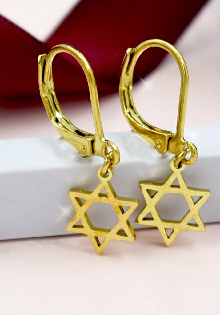 ARETES DE COLGAR ESTRELLA DE DAVID