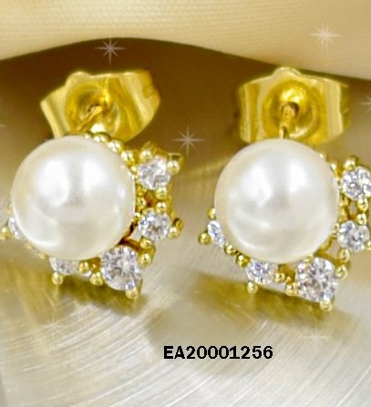 ARETES PERLA CON CORONA DE ZIRCONIAS (P.E.NOV2025)