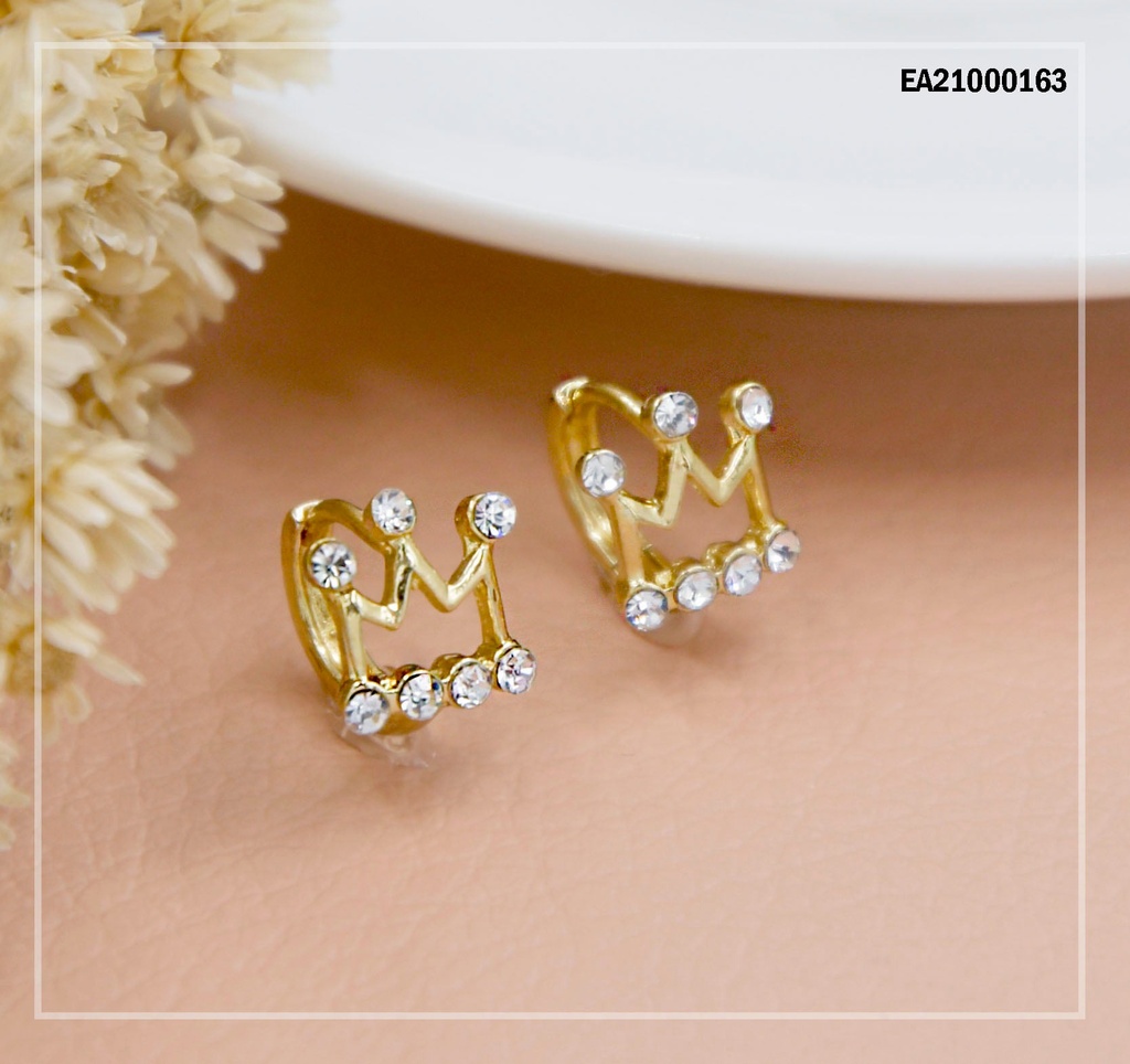 ARGOLLITAS CORONA CON ZIRCONIAS