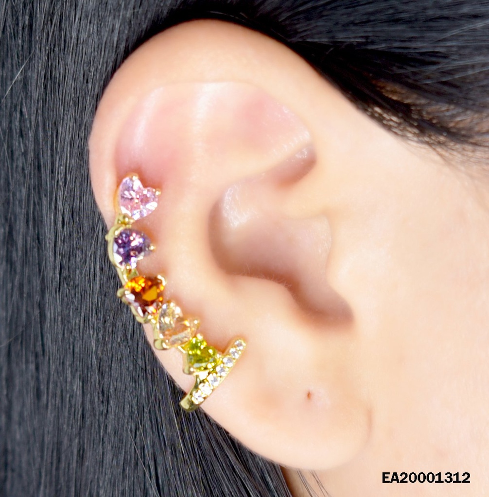 DÚO ARETES CAMALEÓN ZIRCONIAS CORAZÓN COL.VARIOS