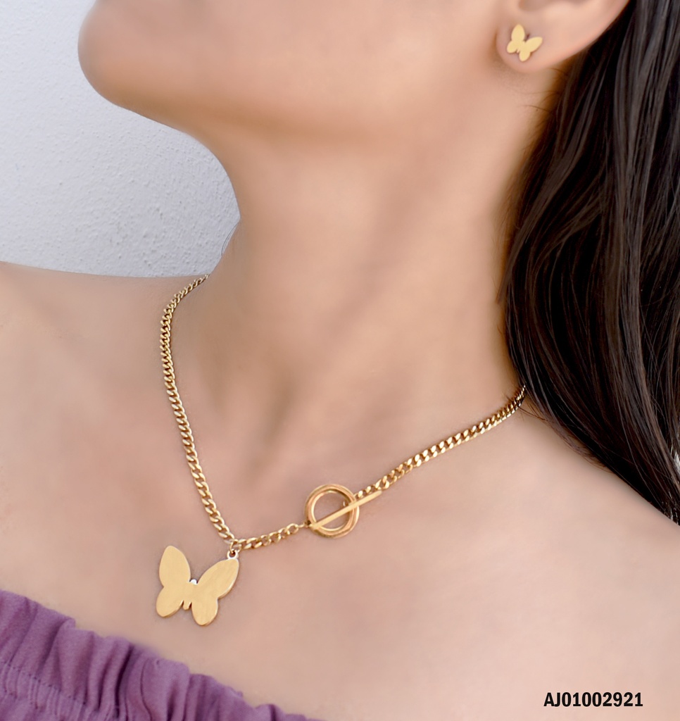 JUEGO PLACAS MARIPOSAS CADENA MARTILLADA CANDADO Ø