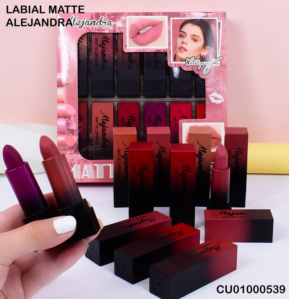 LABIAL ALEJANDRA MATTE Y505 TONOS SURTIDOS