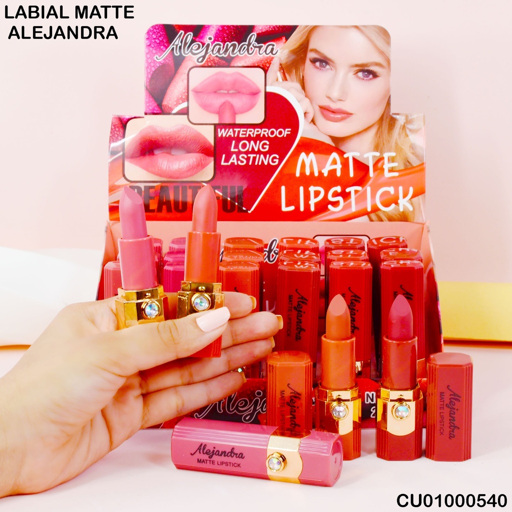 LABIAL MATTE ALEJANDRA C/ZIRCONIA Y391 SURTIDOS