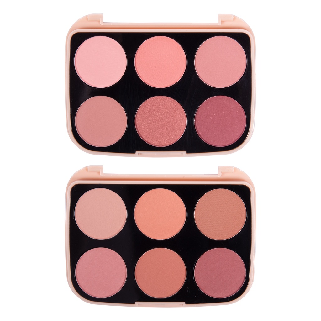 PALETA 6 BLUSH MY LIFE DREAMS USHAS ES4062
