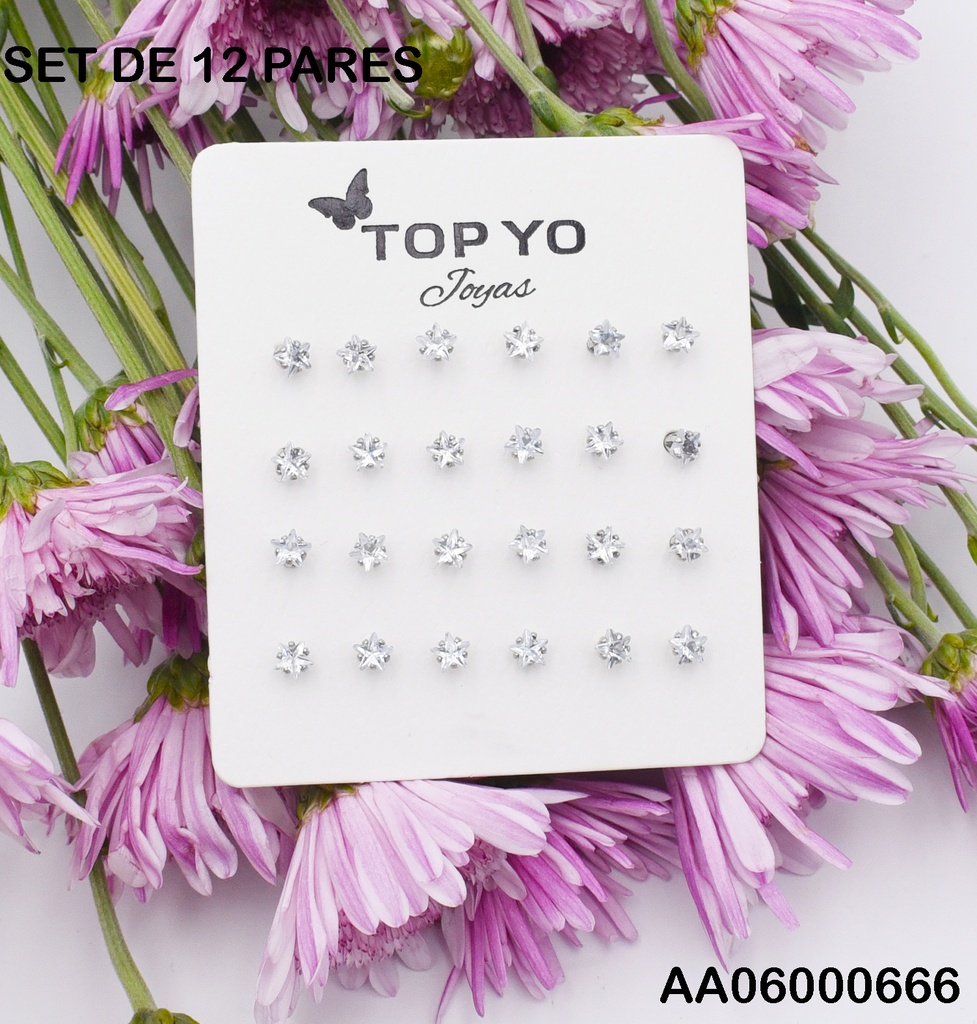 PAQUETE 12 PARES ZIRCONIAS PLATEADAS ⭐ 5MM