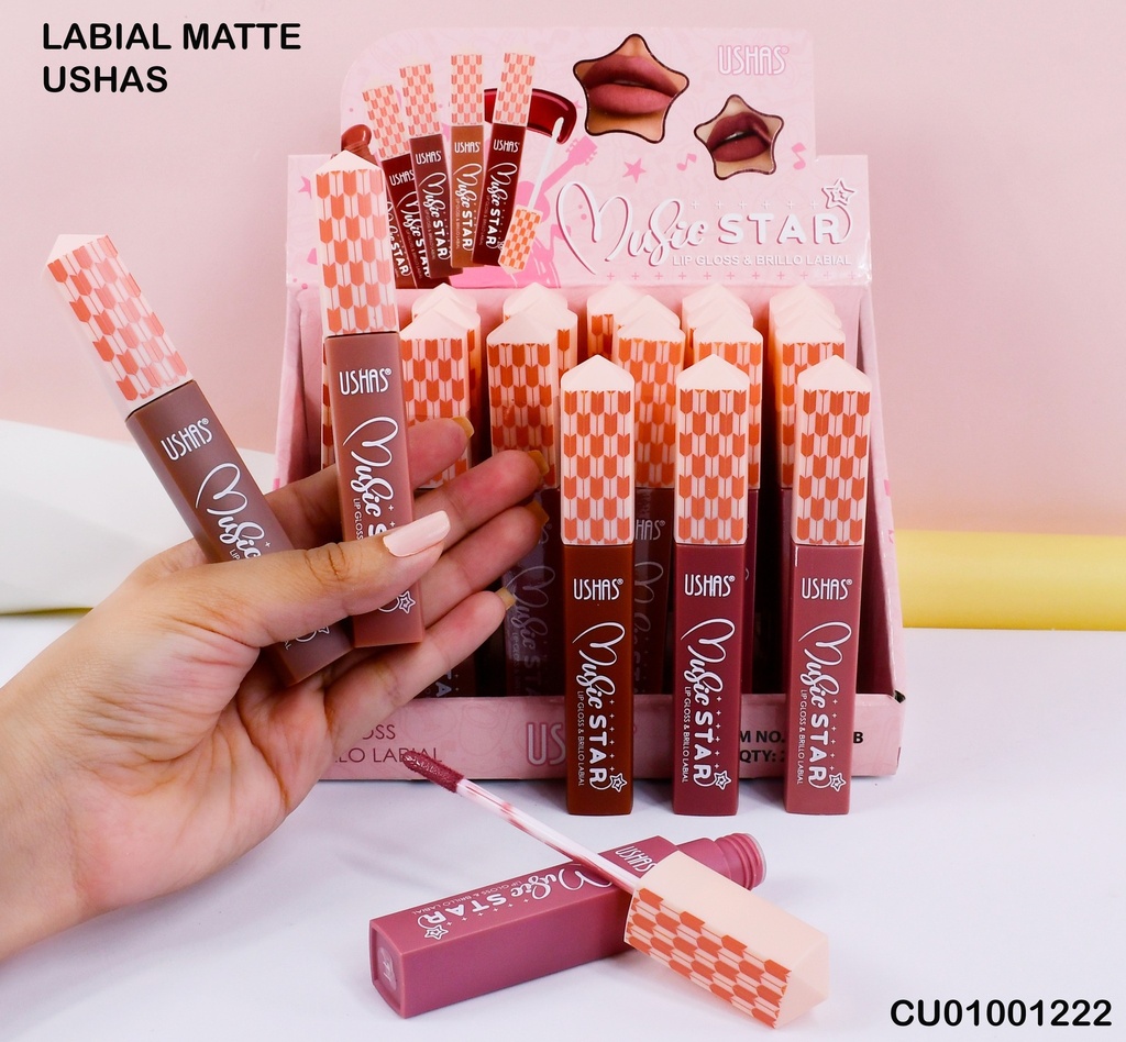 LIP GLOSS MUSIC STAR USHAS LG2419B SURTIDOS