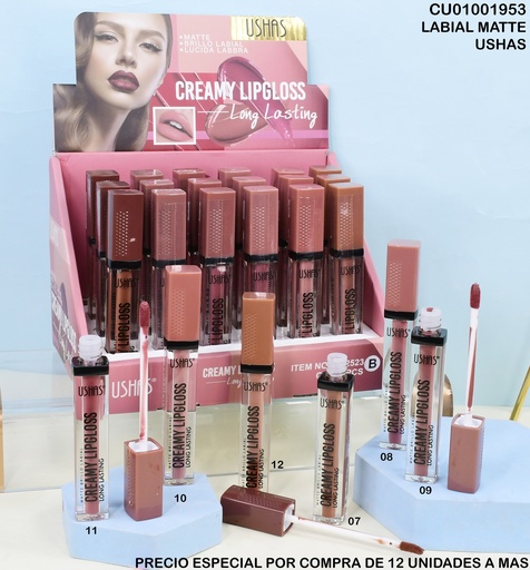 [CU01001953] LIPGLOSS MATTE CREAMY USHAS LG2523 B