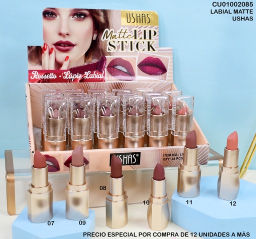 [CU01002085] LABIAL MATTE LIP STICK  SURTD. USHAS LP2286 -B