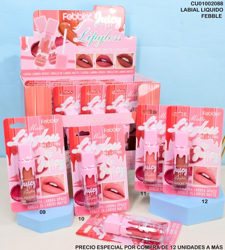 [CU01002088] BRILLO LABIAL MATTE JUICY FEBBLE LG2524F (B)