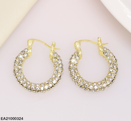[EA21000324] ARGOLLAS DE ZIRCONIAS 20MM