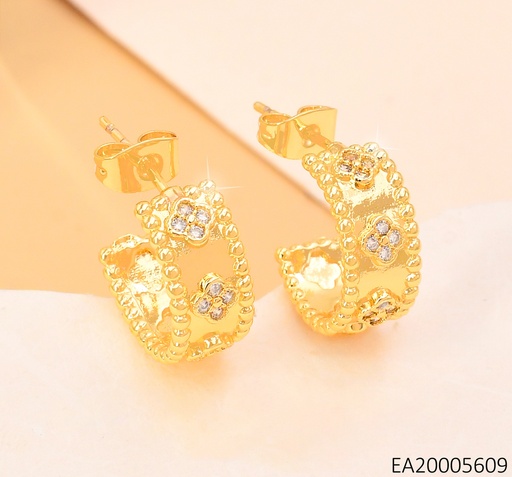 [EA20005609] ARETES VAN CLEEF ZIRC. "C" ANCHOS EE4068-9
