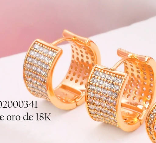 [BX02000341] ARETES BAÑO DE ORO 18K. XUPING "C" ZIRC. EE5530-427 012026