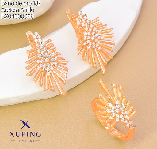 [BX04000066] SET BAÑO DE ORO 18K ARETES/ANILLO RAMITA DOR/ZIRC (XAG)